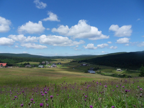 Miejsce spotkań miejscowych motyli a przy okazji ładny punkt widokowy :) #Czechy #góry #Jizerka #lato